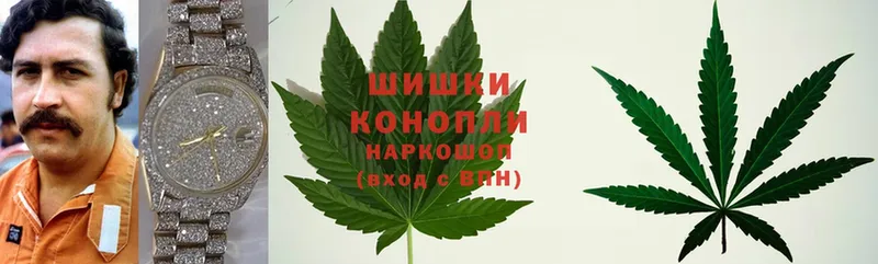 Марихуана SATIVA & INDICA  купить  цена  Бугуруслан 